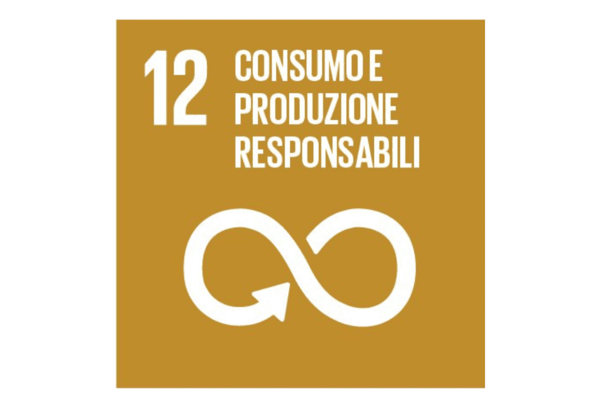 Obiettivo n. 12 - Agenda 2030